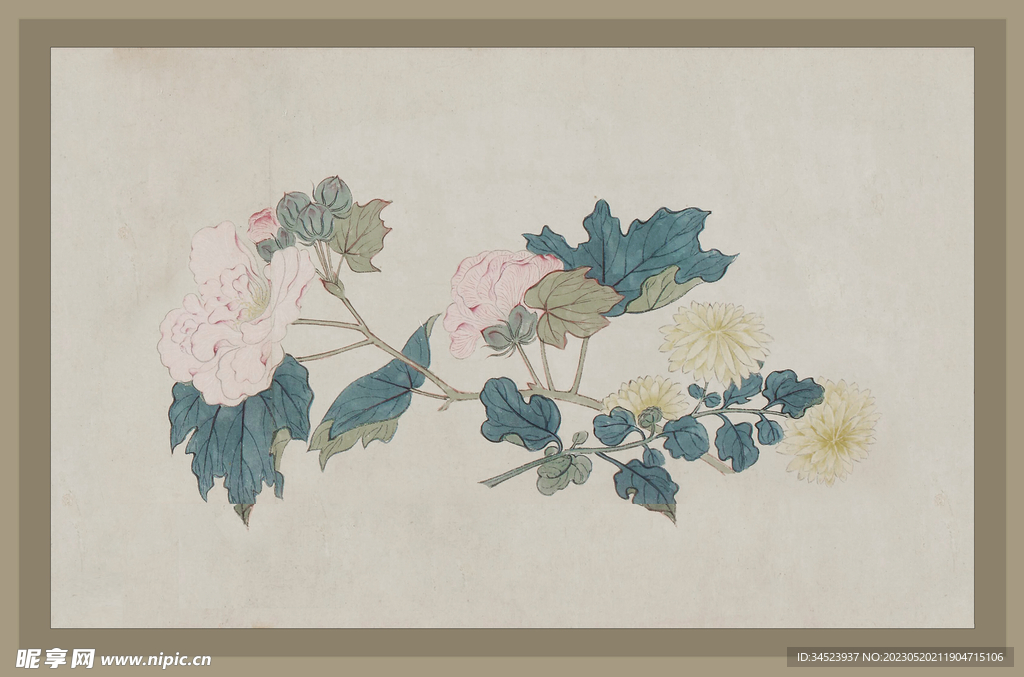 二十四节气花卉