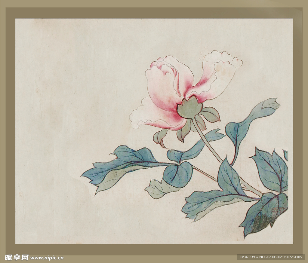 二十四节气花卉