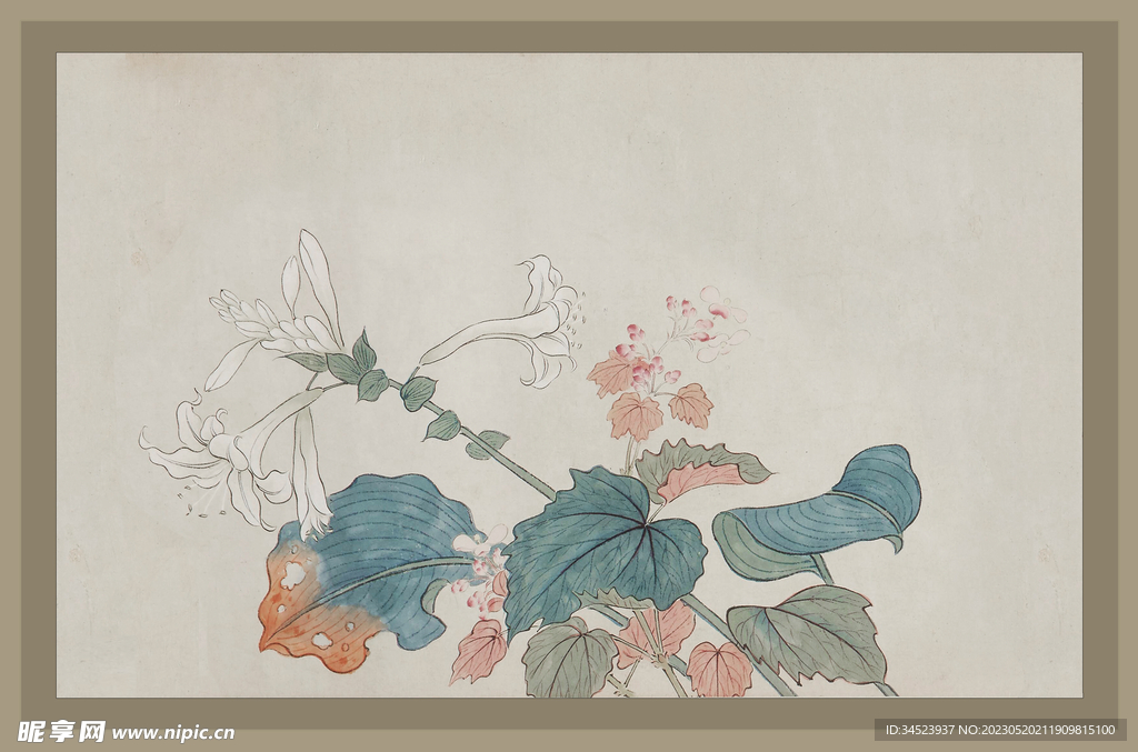 二十四节气花卉