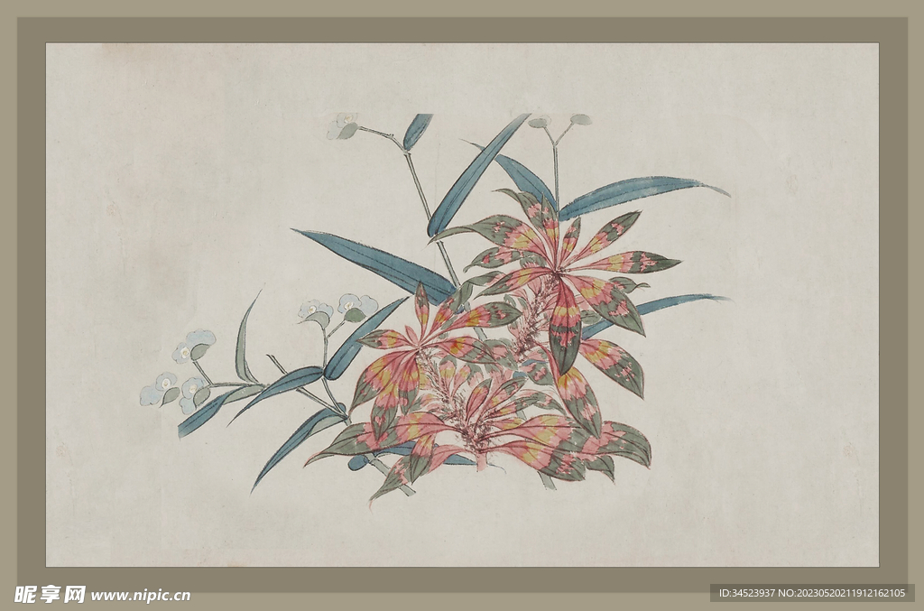 二十四节气花卉