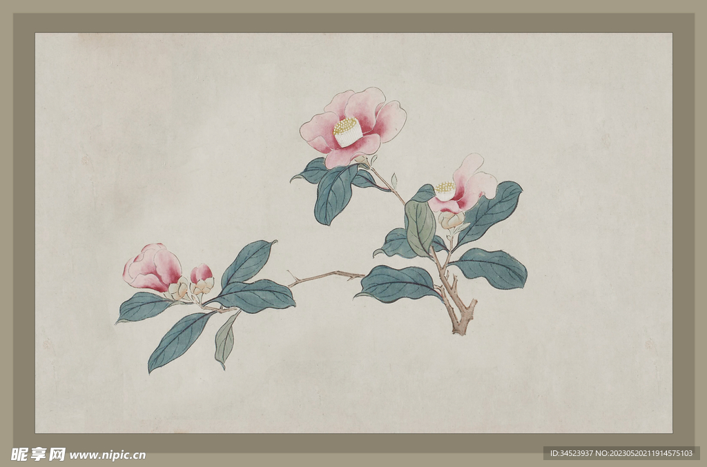 二十四节气花卉