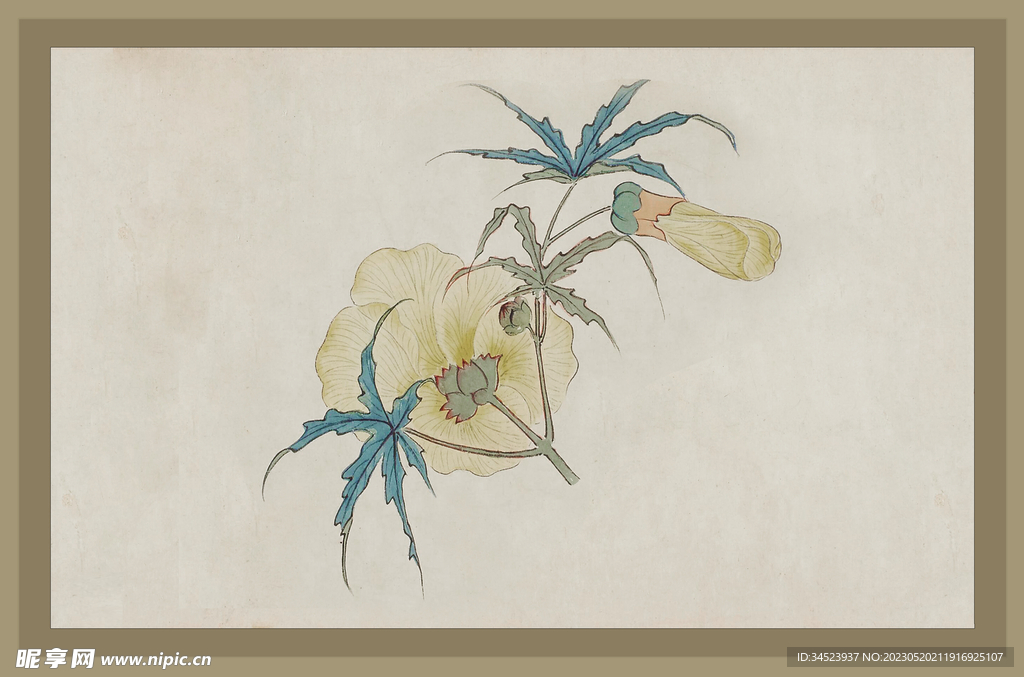 二十四节气花卉