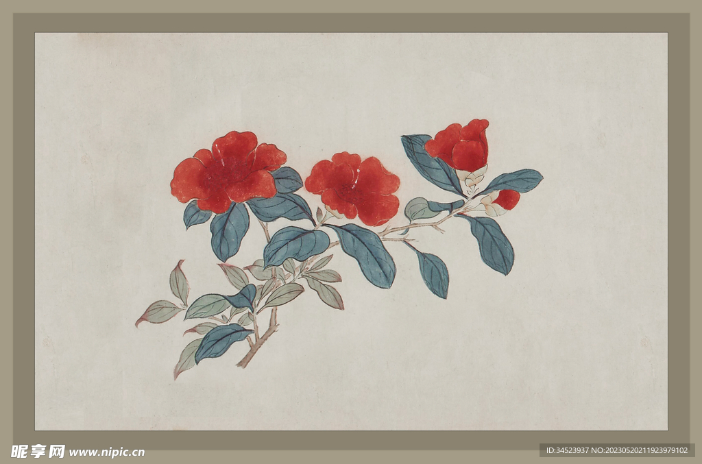 二十四节气花卉