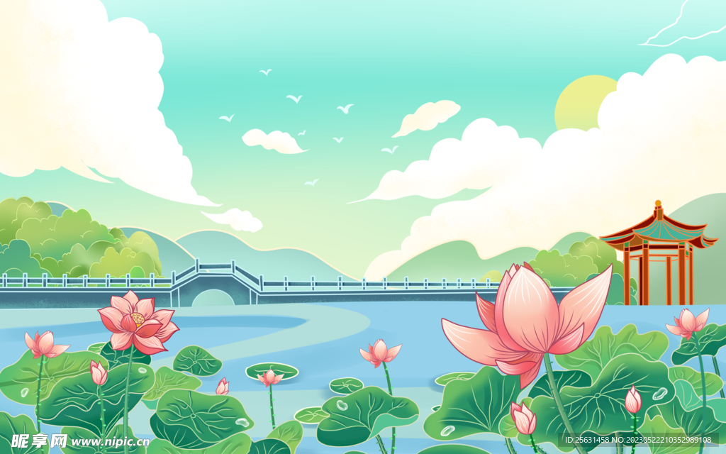 夏季荷塘荷花背景