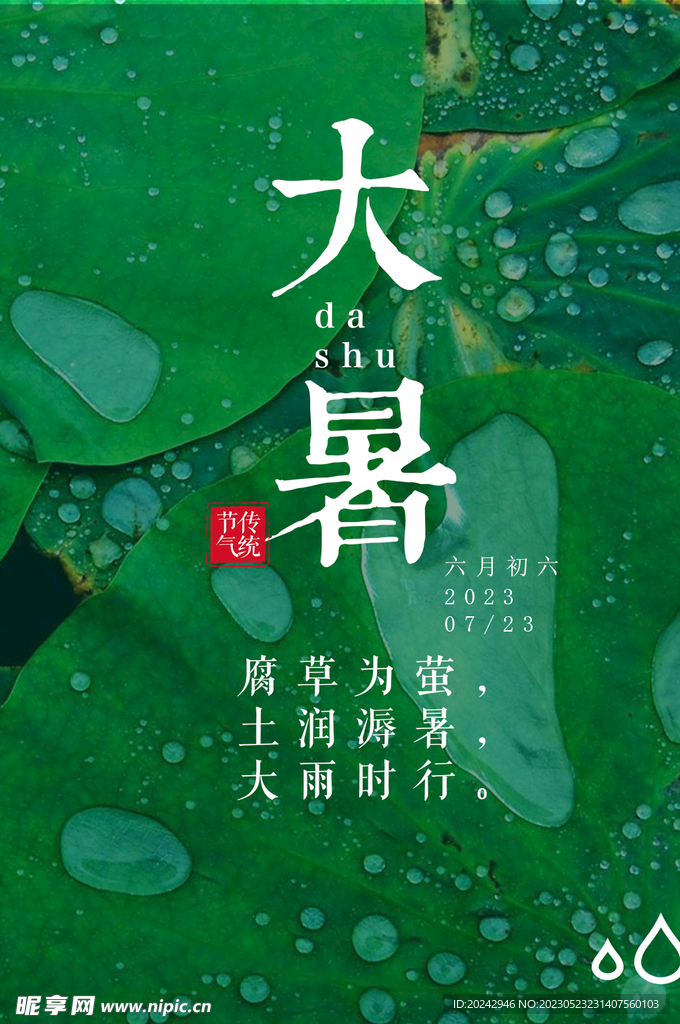 大暑节气海报   