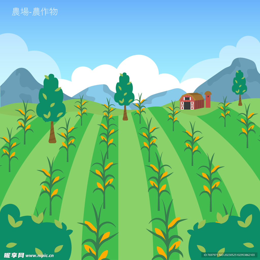 农场玉米地