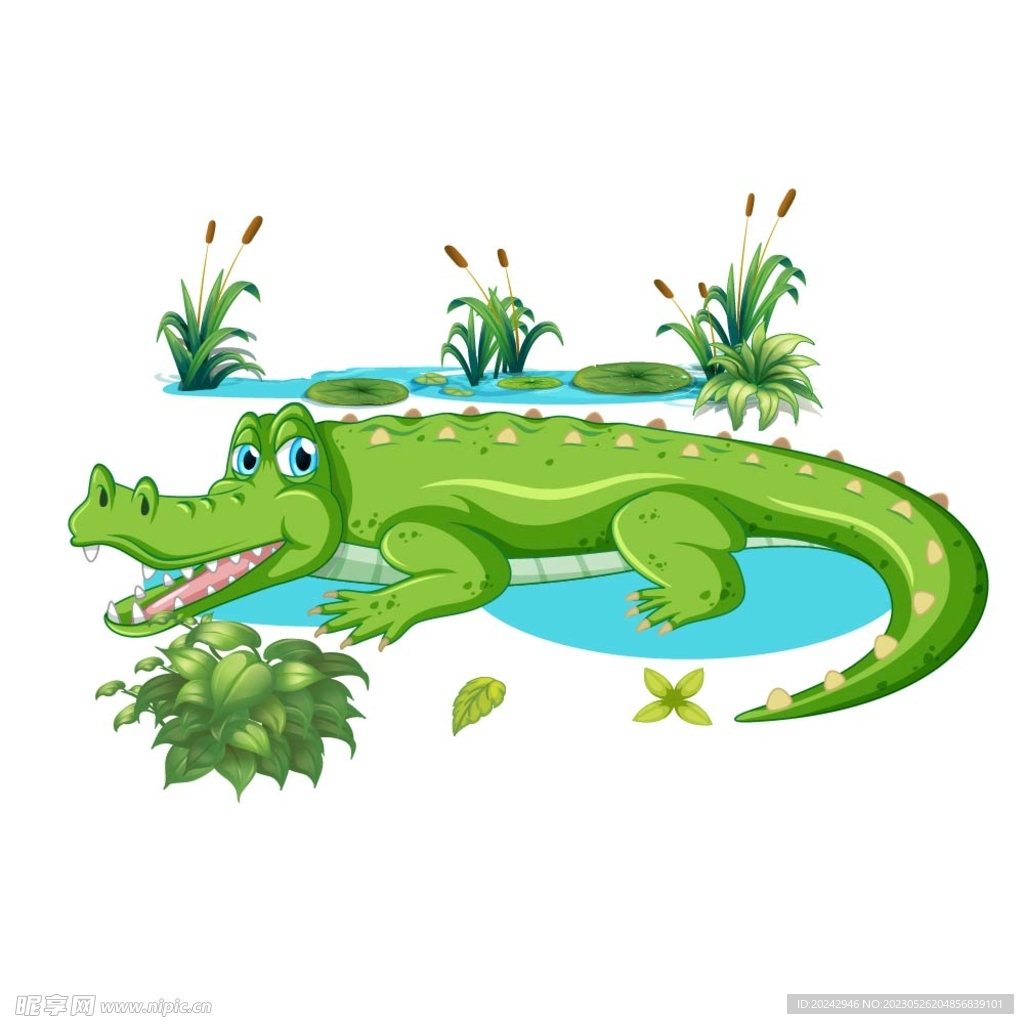 卡通鳄鱼