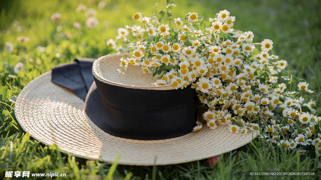 女孩草帽雏菊花