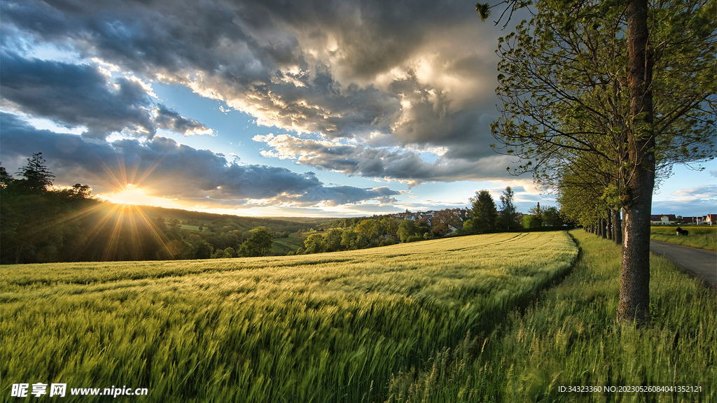 日落西山绿草田园