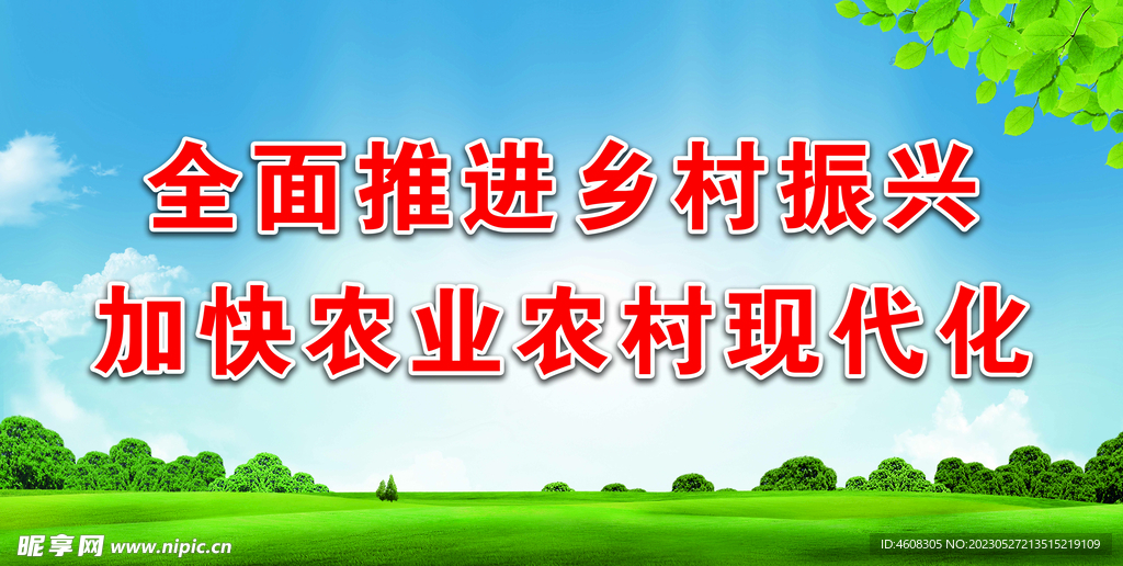 全面推进乡村振兴