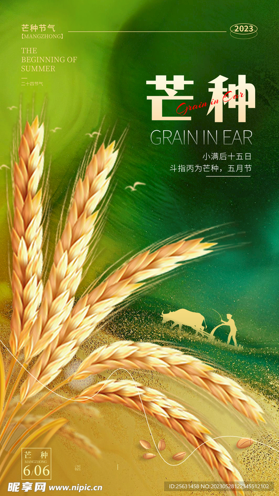 芒种