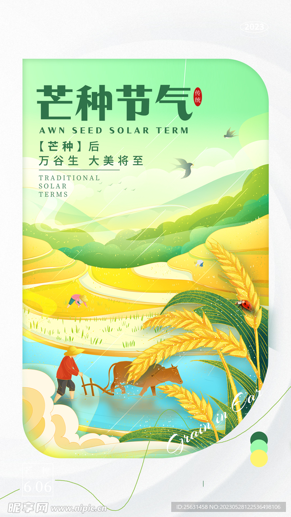 芒种节气海报