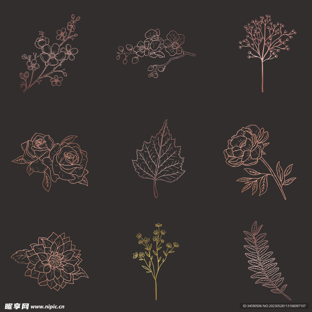 简约花朵枝叶线条轮廓线稿