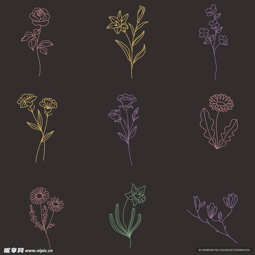 简约花朵枝叶植物线条线稿