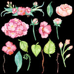 手绘花儿系列粉色花儿花环