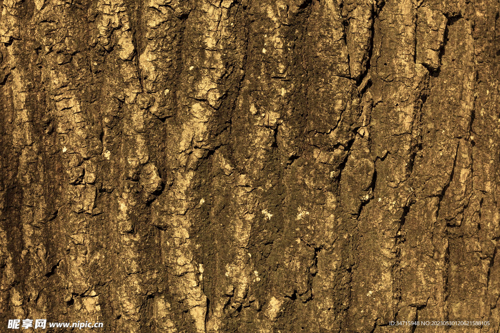 褐色树皮背景