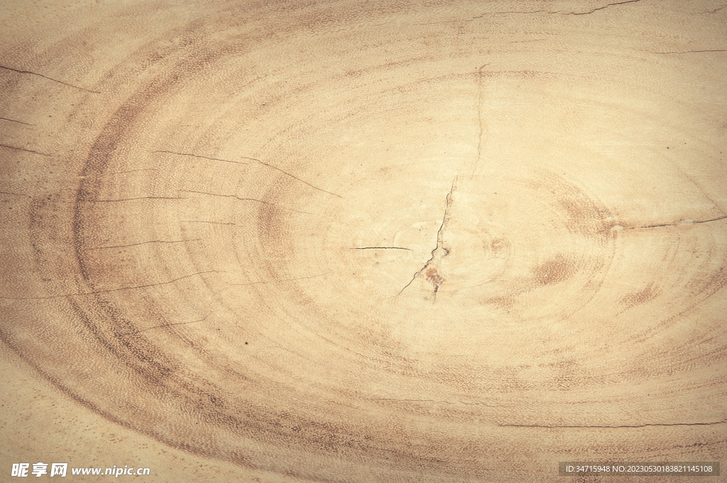 原木树墩切面背景