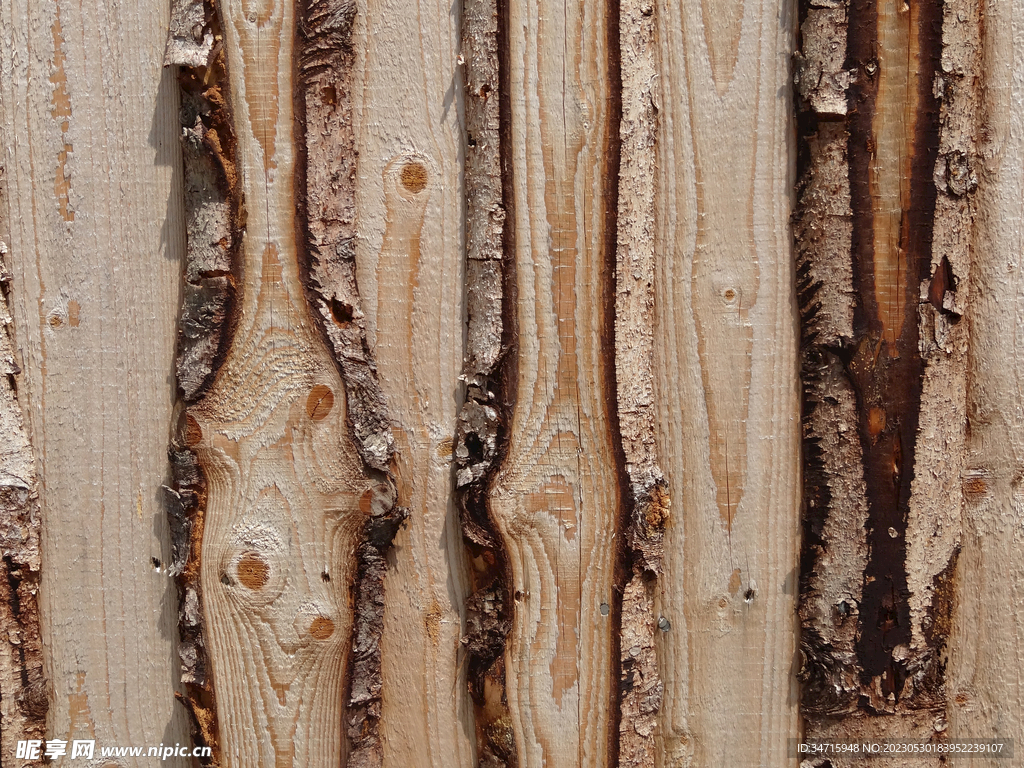 树皮背景
