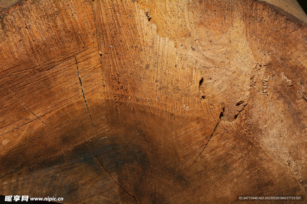 原木木纹背景