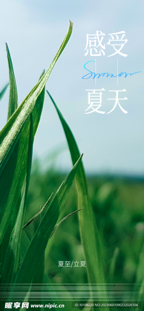 立夏夏至夏天海报