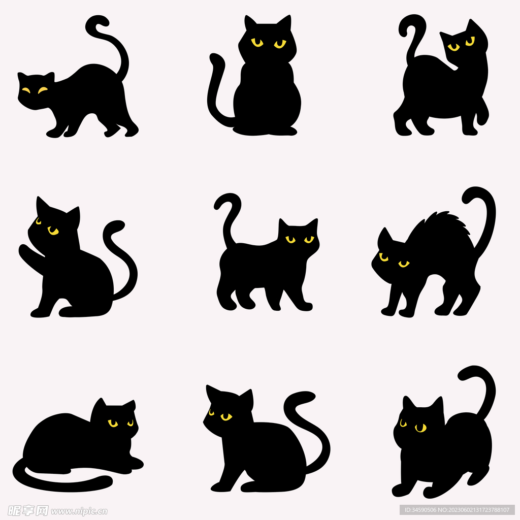 黑色猫咪黑猫小猫喵星人