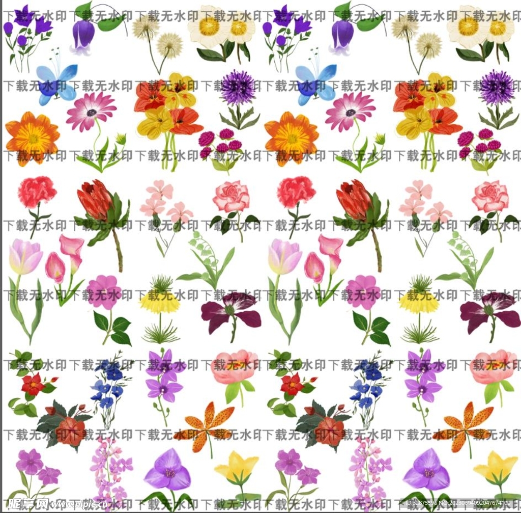 大牌花 丁香花 郁金香