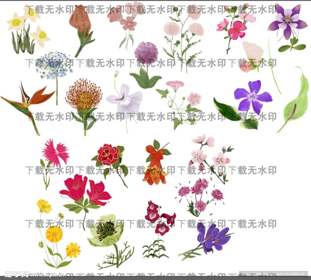 水仙花 牵牛花 山茶花