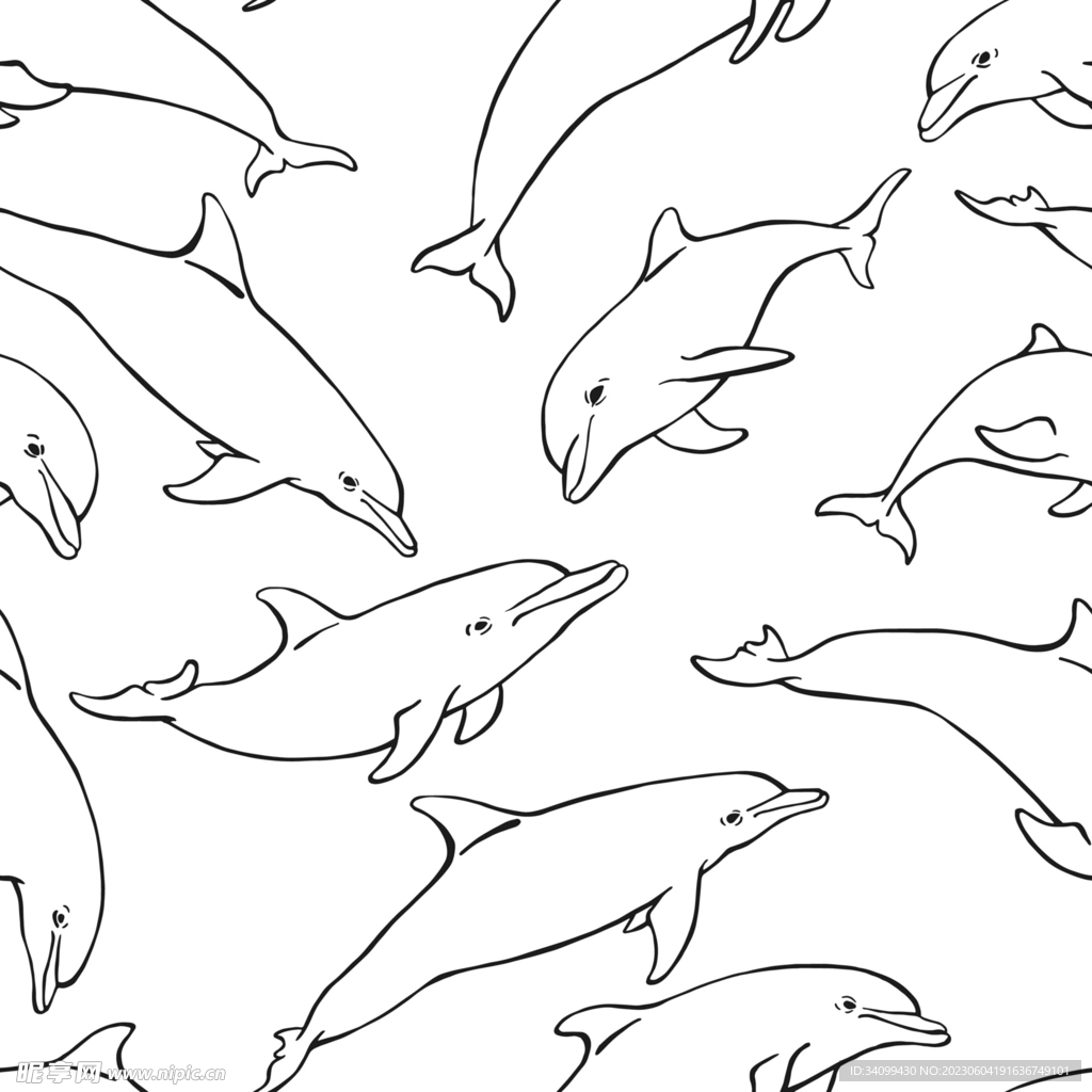 海豚图案