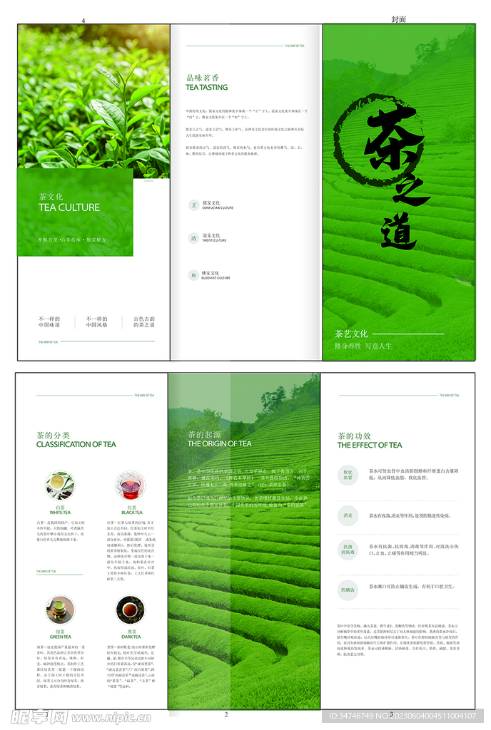 茶之道三折页