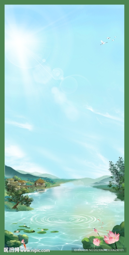 荷花 荷塘 风景