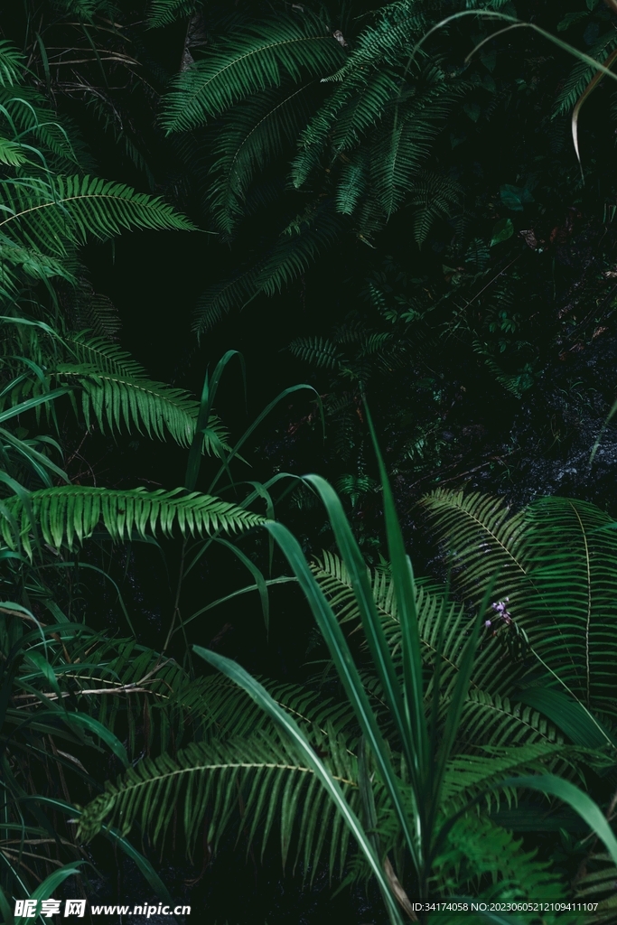 绿色小清新背景