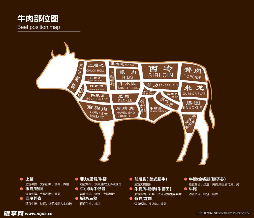 牛肉分割图