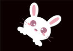 萌宠兔子