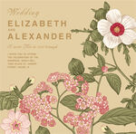 文艺矢量手绘插画植物花卉图片