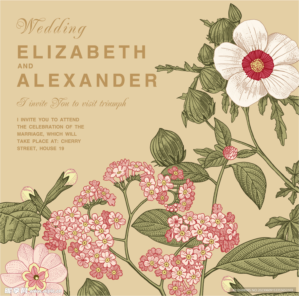 文艺矢量手绘插画植物花卉图片