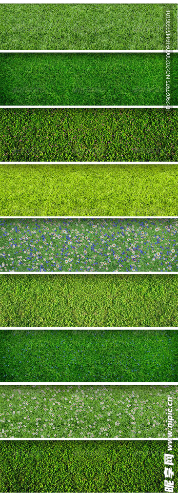 景观植物彩平图