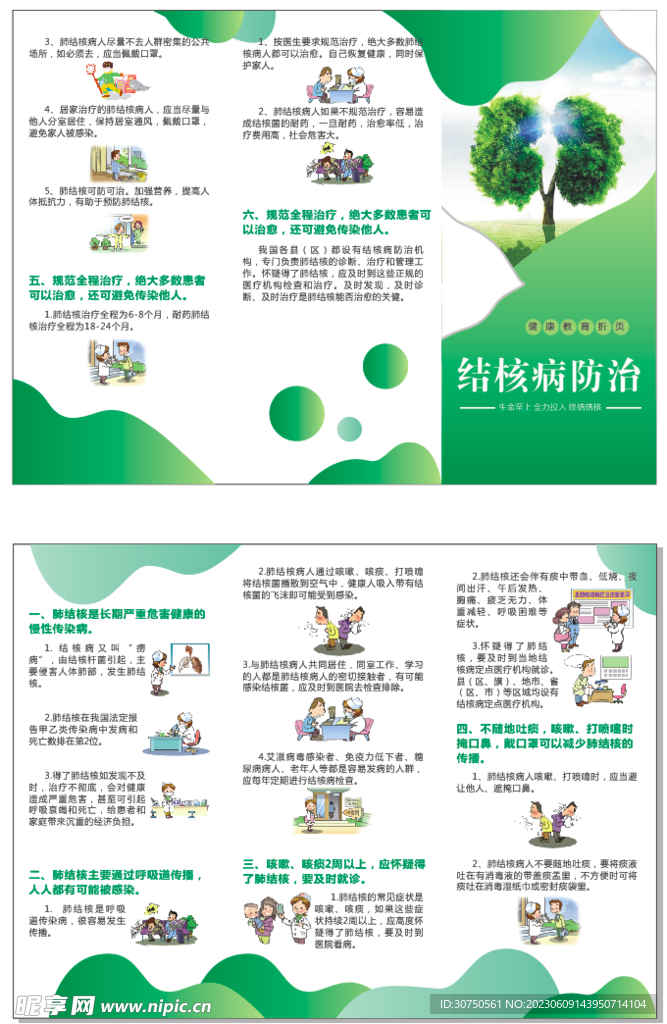 结核病 折页