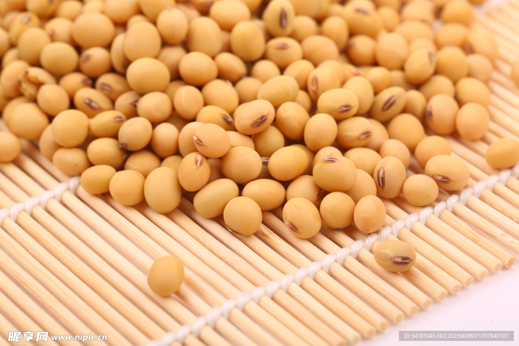 黄豆图片