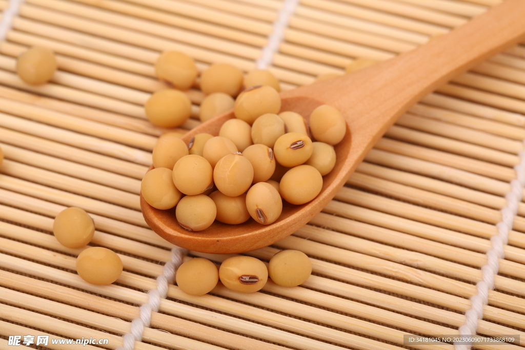 黄豆图片
