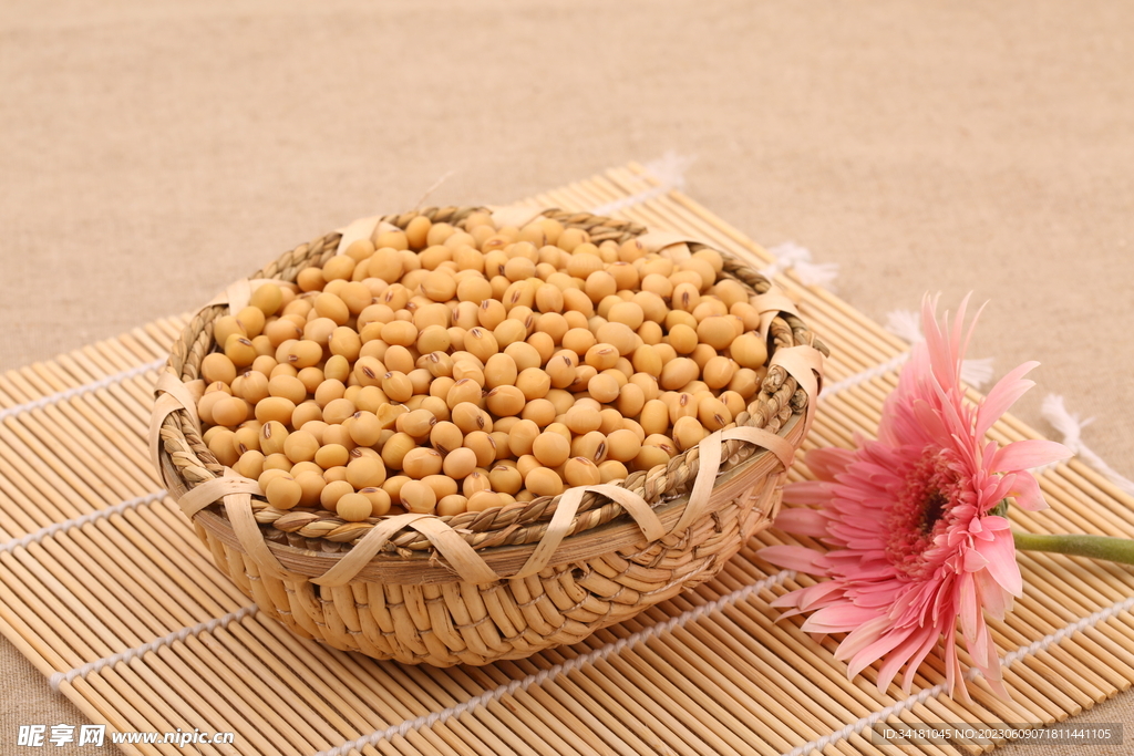 黄豆图片