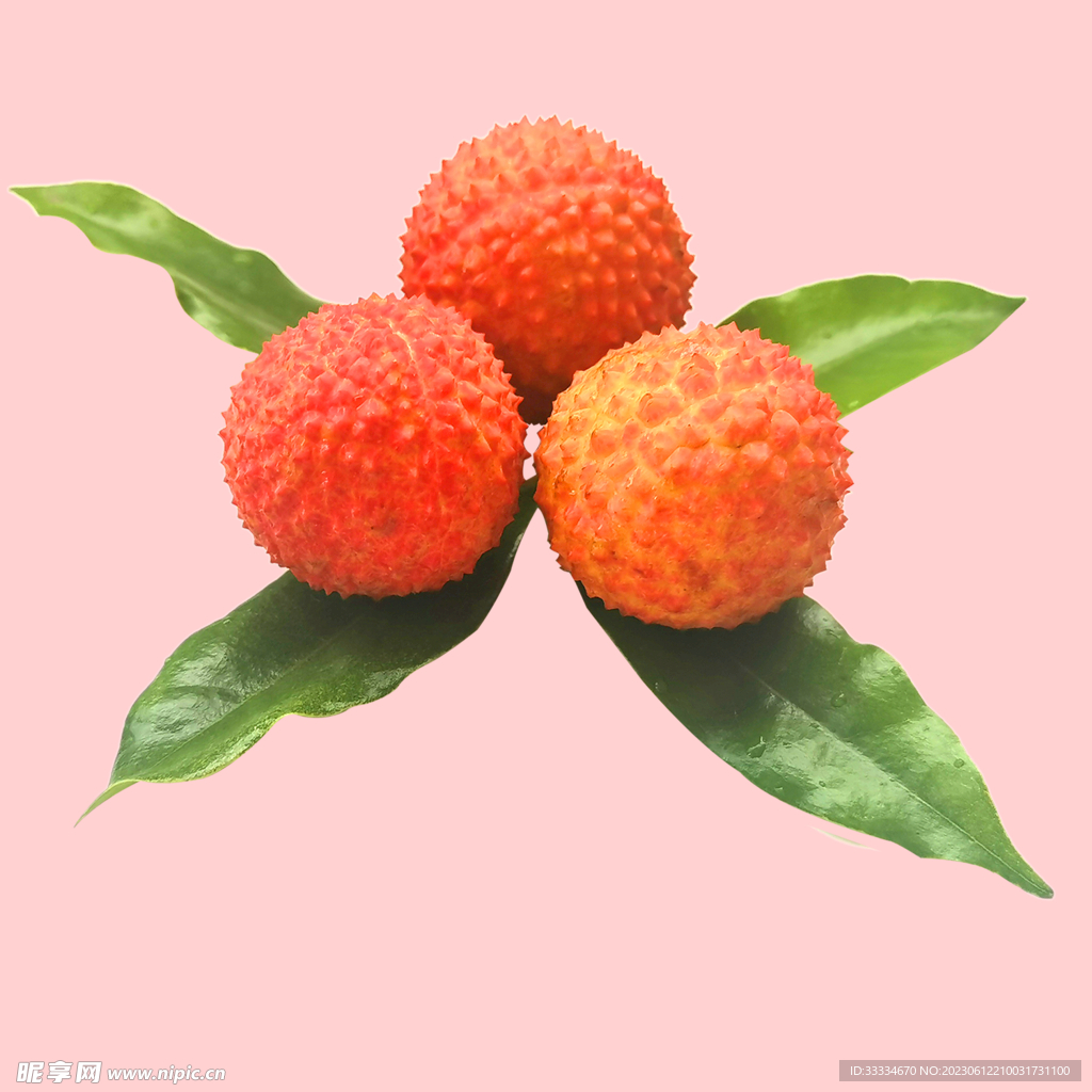 高州特产桂花香荔枝素材