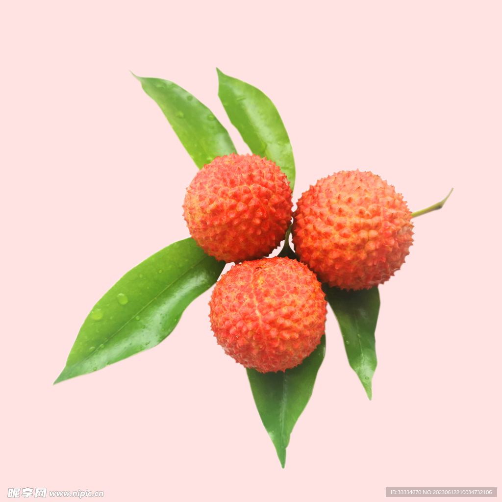 高州特产荔枝肉厚皮薄