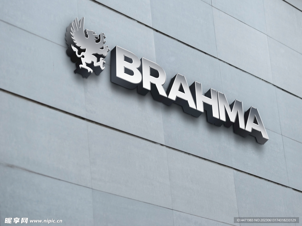 公司形象logo样机 