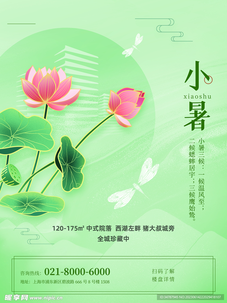 小暑节气