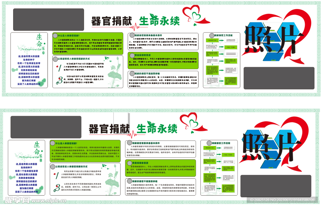器官捐献 生命永续 展板