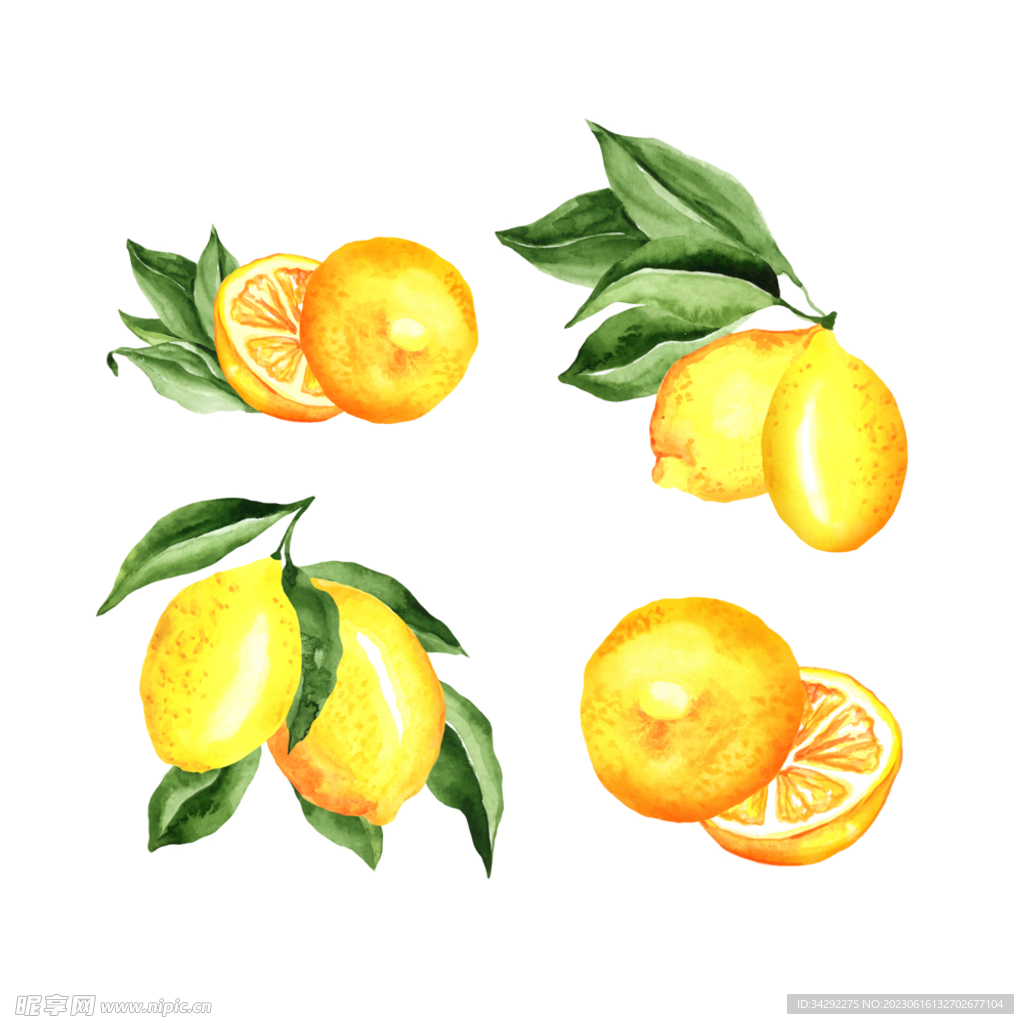 水彩柠檬