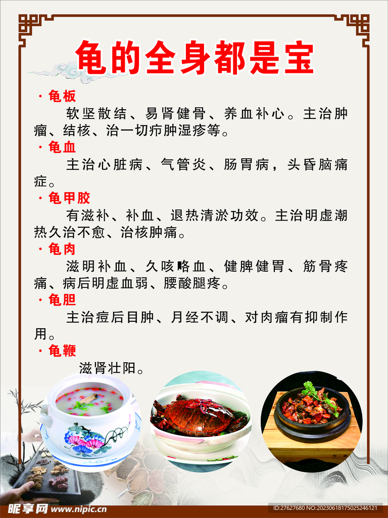 龟的全身都是宝海报