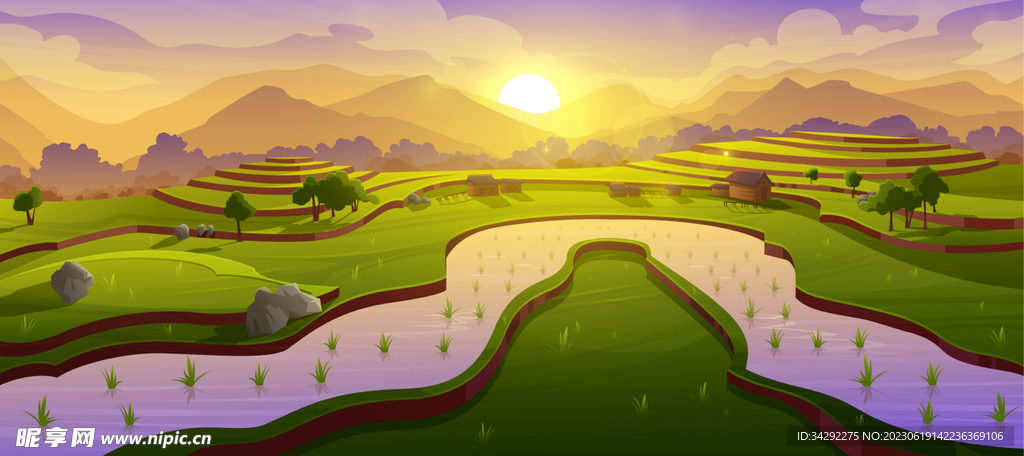 梯田农田插画