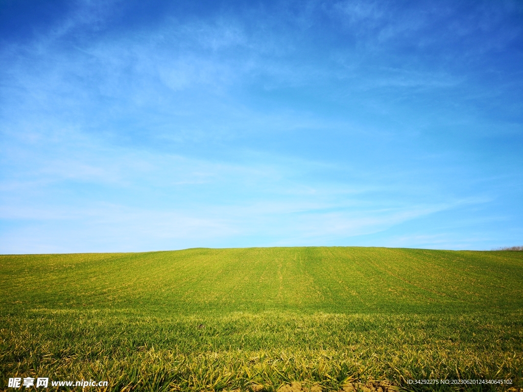 蓝天草地