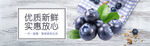 蓝莓海报